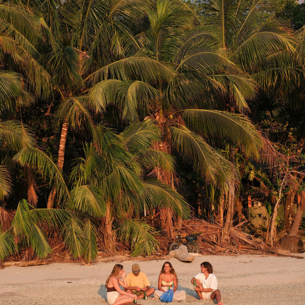 Four people sitting on a sandy beach with palm trees in the background